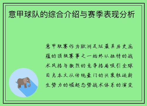 意甲球队的综合介绍与赛季表现分析