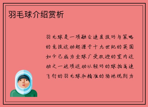羽毛球介绍赏析