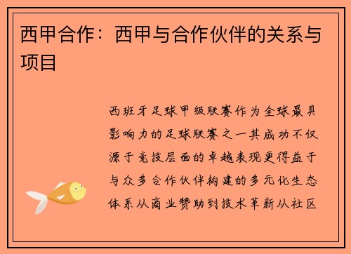 西甲合作：西甲与合作伙伴的关系与项目